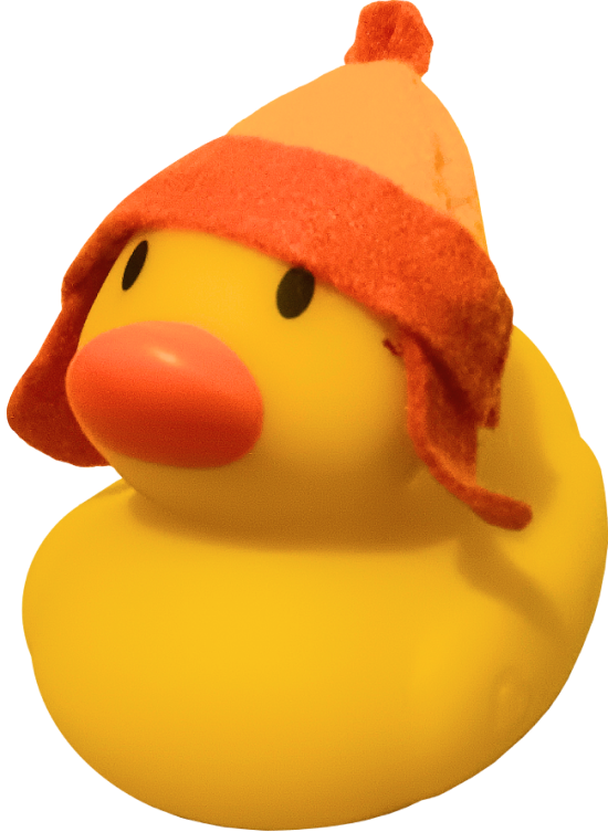 rubber duck with a jayne cobb hat
