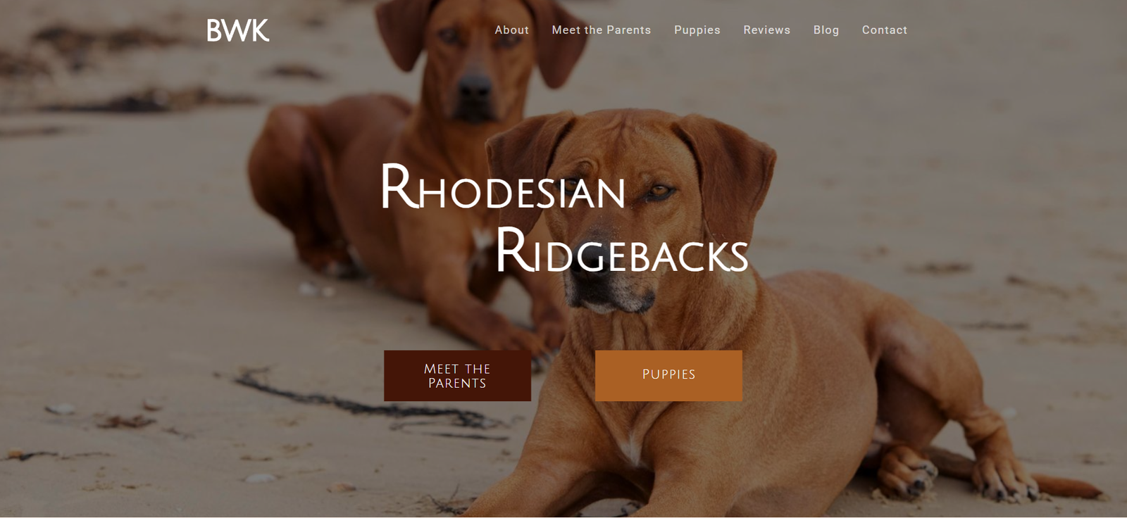 BWK Ridgebacks Thumbnail